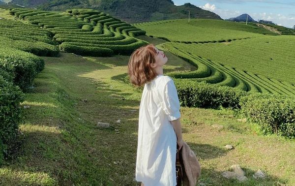 Những trải nghiệm tuyệt vời ở Mộc Châu vào mùa hè có thể bạn chưa biết