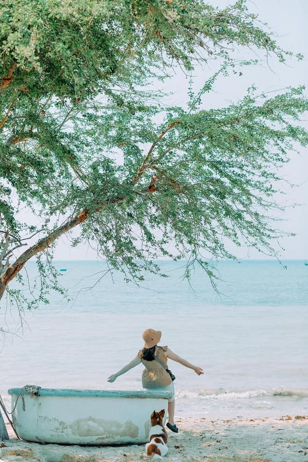 den-ninh-van-mua-he-2