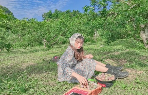 Khám phá thiên đường ẩm thực tháng 4 ở cao nguyên Mộc Châu (Sơn La)