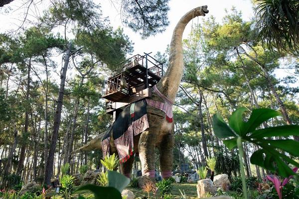 Khám phá Công viên Khủng Long – điểm đến mới nổi siêu hấp dẫn ở Mộc Châu