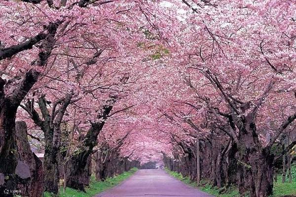 cong-vien-ngoc-uyen-dam-bac-kinh
