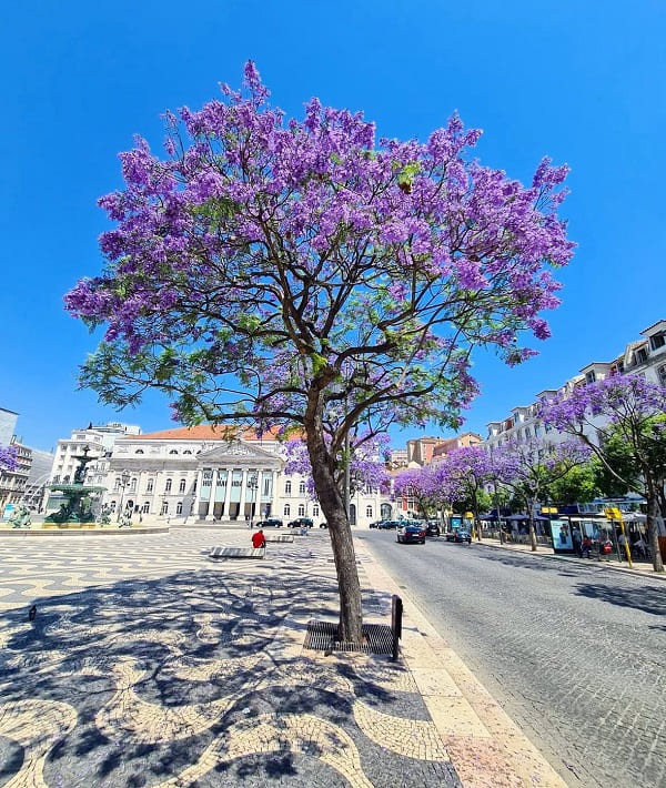 phuong-tim-o-Lisbon-2