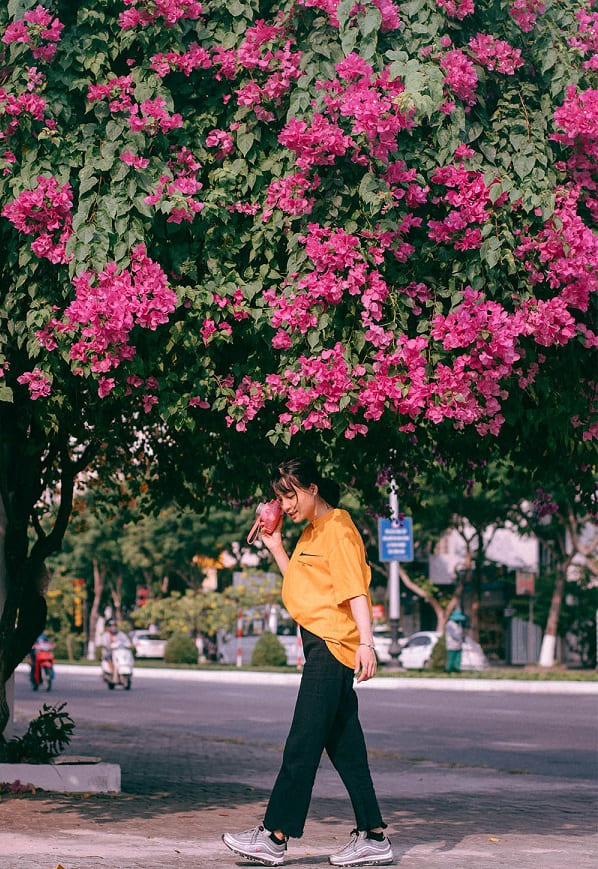 duong-hoa-giay-da-nang