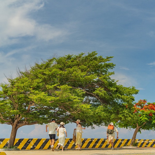 Ninh Thuận – vùng đất đáng để bạn quay lại nhiều lần! 