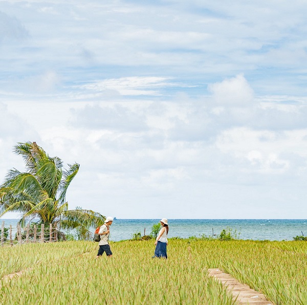 ninh-thuan-vung-dat-damh-de-ban-quay-lai-nhieu-lan-4