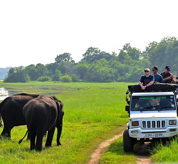 Safari-Sri-Lanka