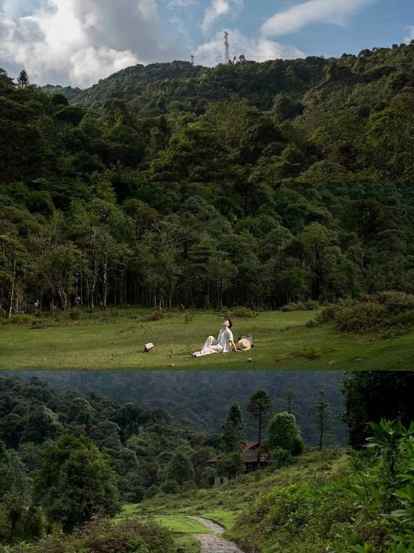 Trekking, săn mây và khám phá Rừng Quốc gia Hoàng Liên trong ngày thu sắp tới!