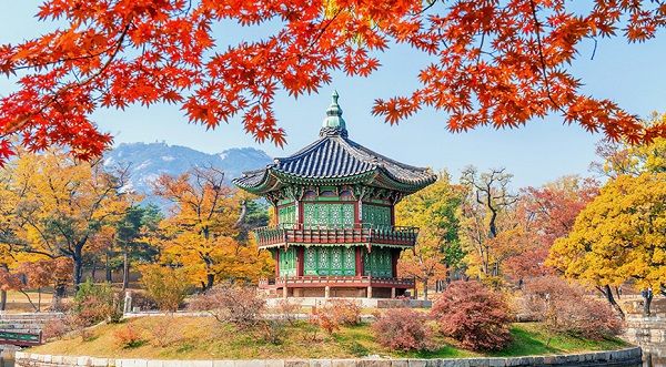 Bạn có biết: Những trải nghiệm đáng giá của mùa thu xứ Hàn?