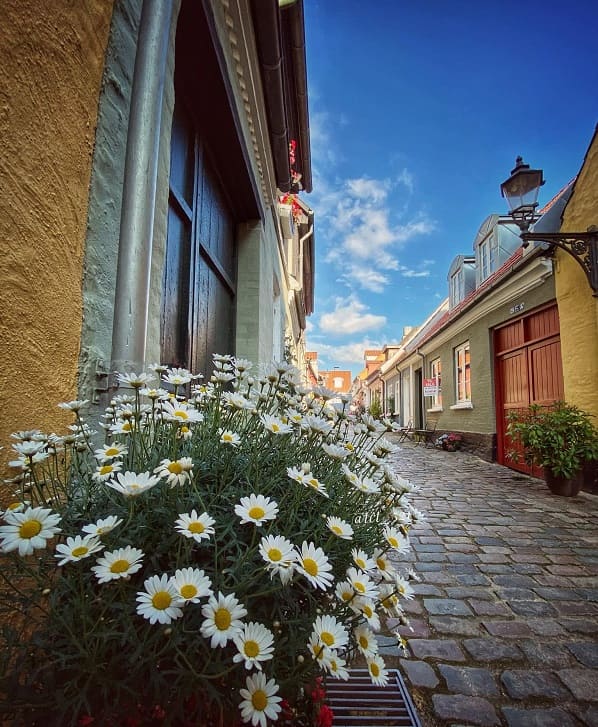 Aalborg-tuoi-dep-cua-dan-mach-2
