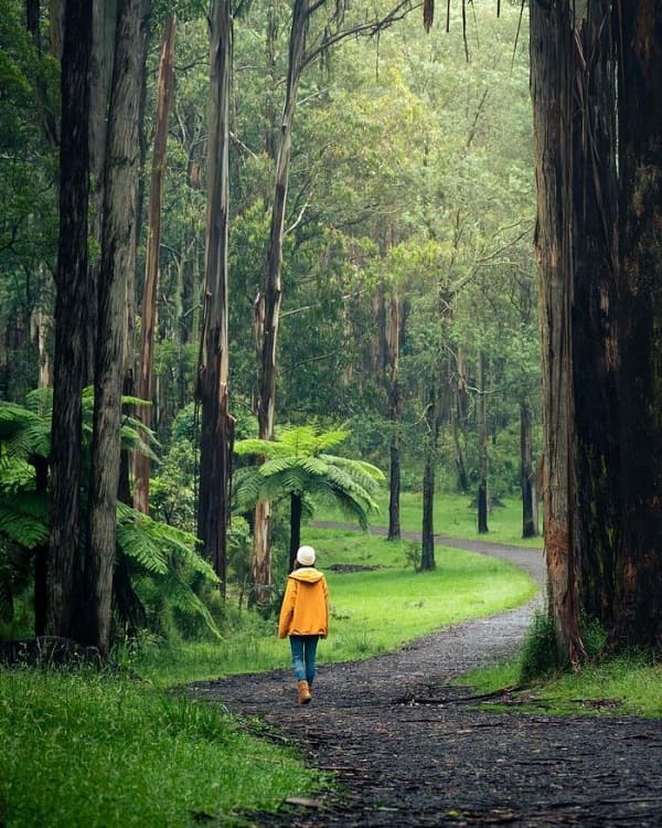 cong-vien-Dandenong-3