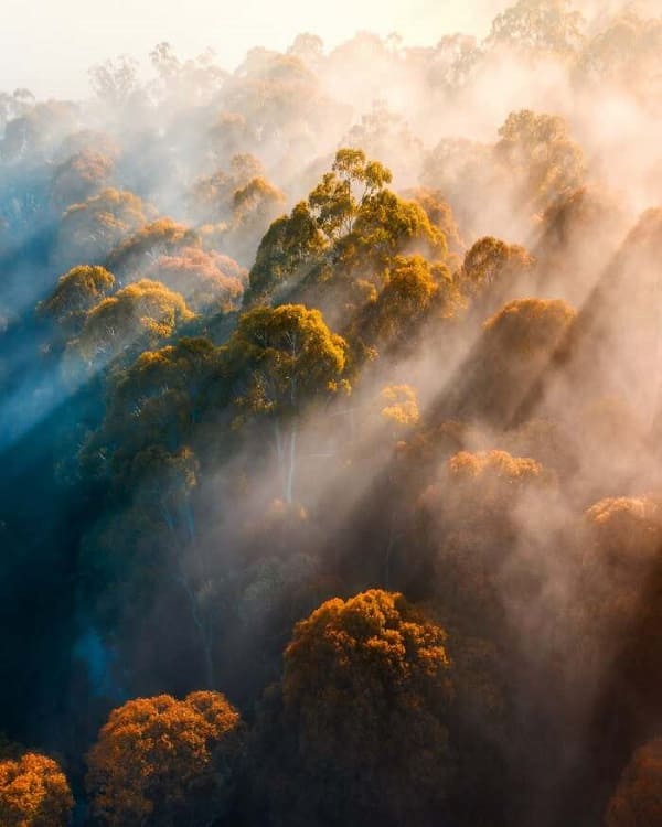 cong-vien-Dandenong-4