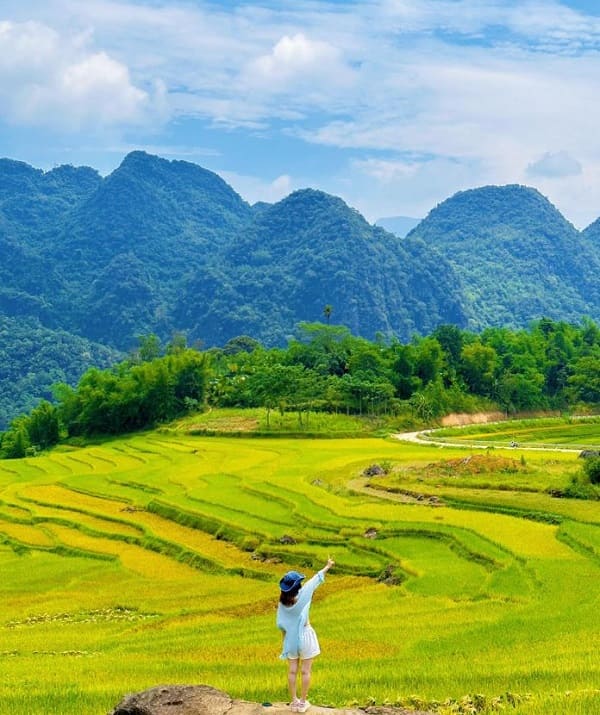 mua-lua-pu-luong-thanh-hoa-2