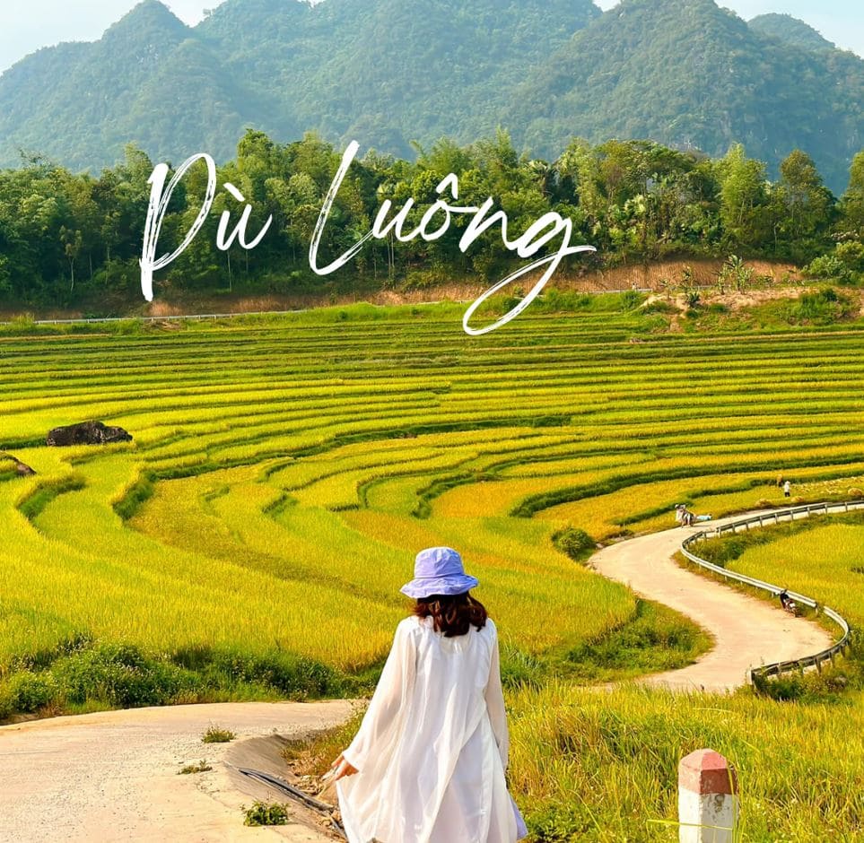 Tháng 9–10, Pù Luông vào mùa vàng đẹp mê mẩn – đi thôi kẻo lỡ!