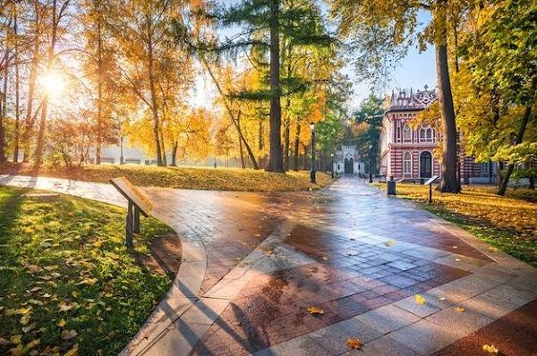 Khám phá “Mùa thu vàng” nước Nga với những trải nghiệm lãng mạn bậc nhất