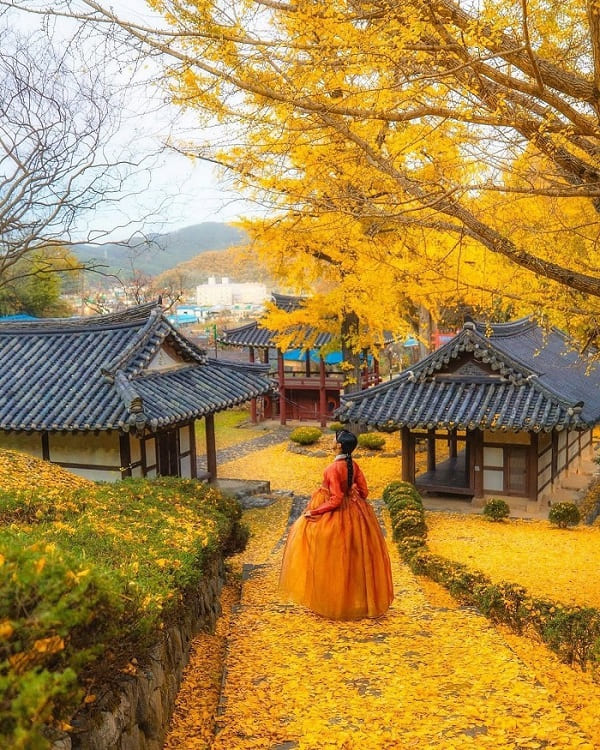 Hahoe-mua-thu