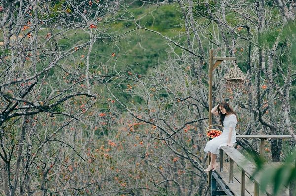 check-in-vuon-hong-da-lat-thang-9
