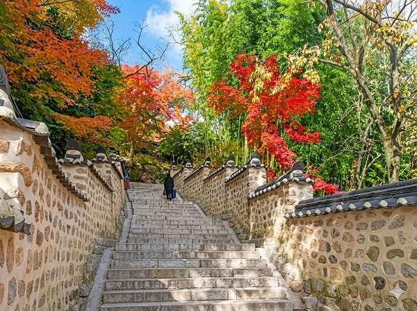 Chiêm ngưỡng bức tranh mùa thu tuyệt đẹp ở thành phố Busan (Hàn Quốc)