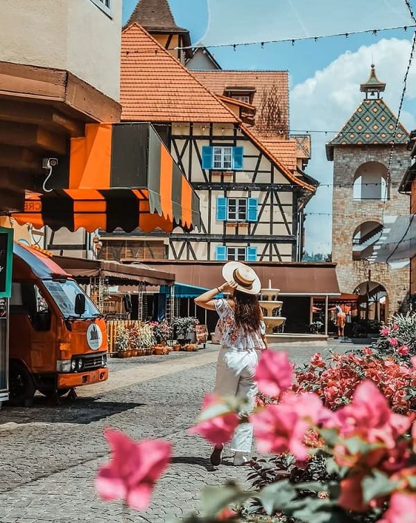 Alsace cung đường rượu vang - thủ phủ của những cánh đồng nho bát ngát