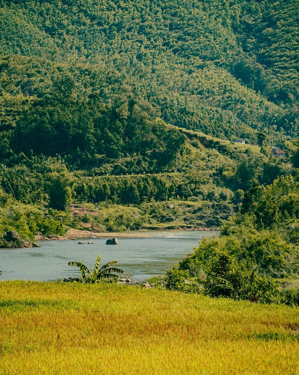 binh-keiu-mua-thu-dep-4