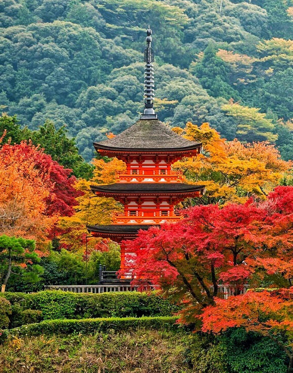 Kiyomizudera-mua-thu