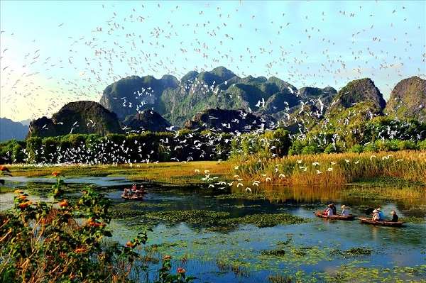 dam-van-long-thang-11