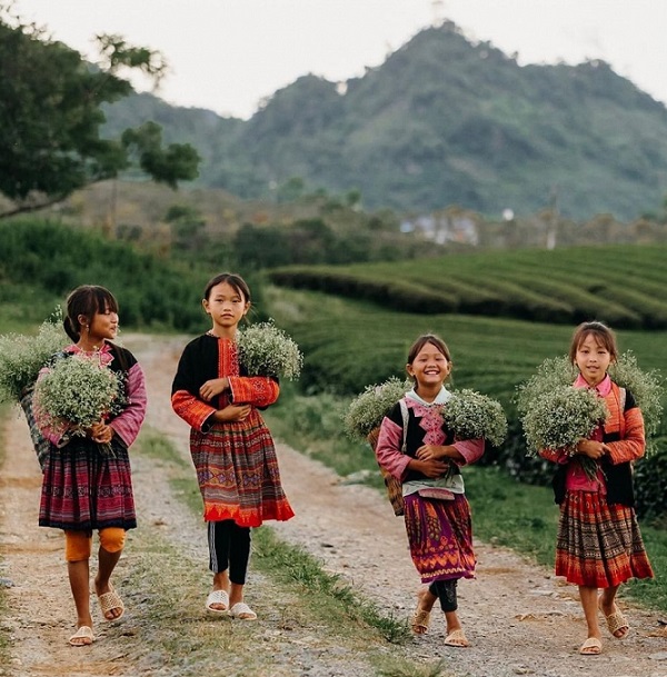 Vi vu Mộc Châu tháng 11, ghé những tọa độ bình yên ít người biết